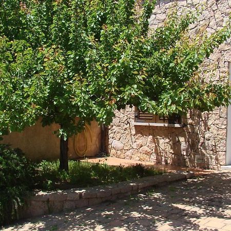Апартаменты Bella Casa Con Giardino A 10 Minuti Dal Mare Альенту Экстерьер фото