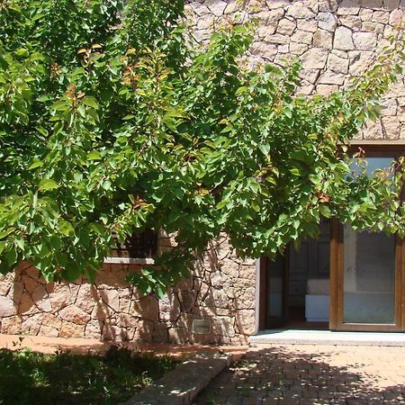 Апартаменты Bella Casa Con Giardino A 10 Minuti Dal Mare Альенту Экстерьер фото