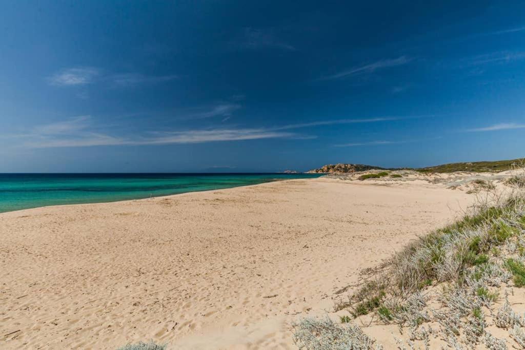 Апартаменты Bella Casa Con Giardino A 10 Minuti Dal Mare Альенту Экстерьер фото