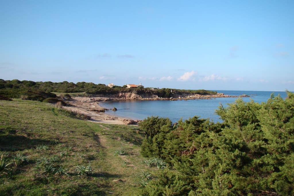 Апартаменты Bella Casa Con Giardino A 10 Minuti Dal Mare Альенту Экстерьер фото