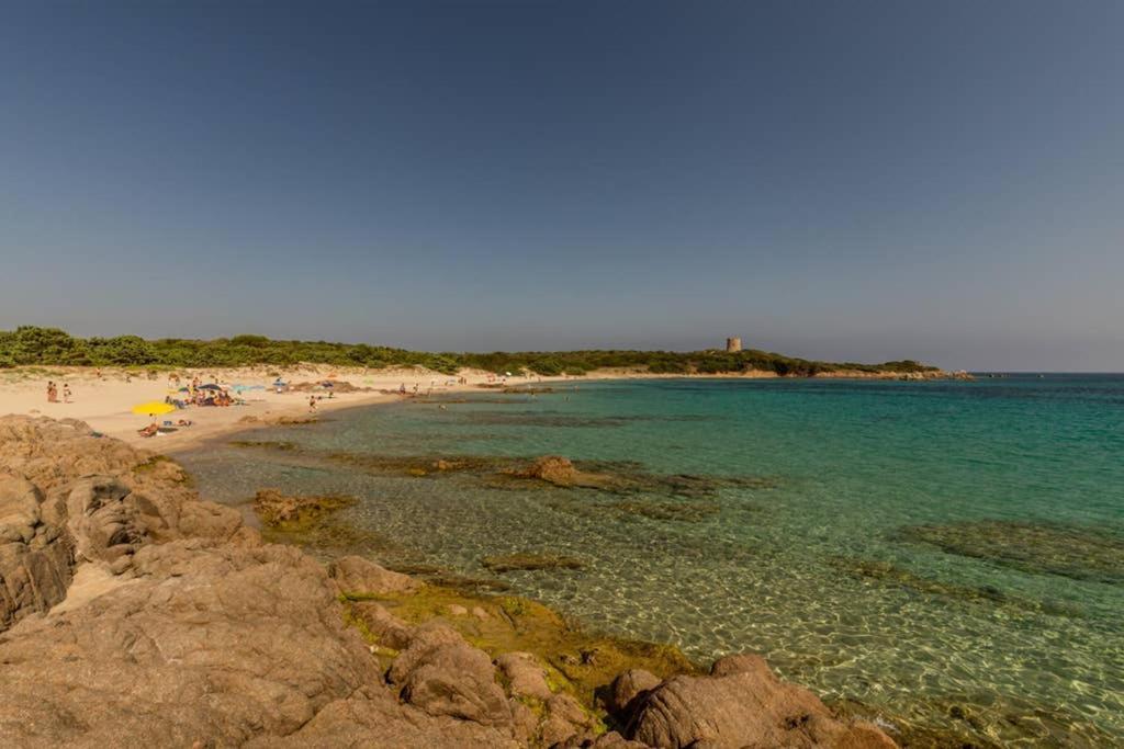 Апартаменты Bella Casa Con Giardino A 10 Minuti Dal Mare Альенту Экстерьер фото