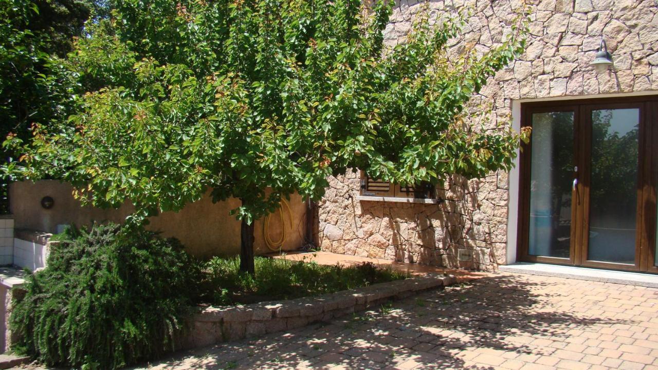 Апартаменты Bella Casa Con Giardino A 10 Minuti Dal Mare Альенту Экстерьер фото